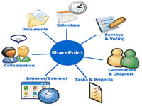 Microsoft SharePoint Professional Services